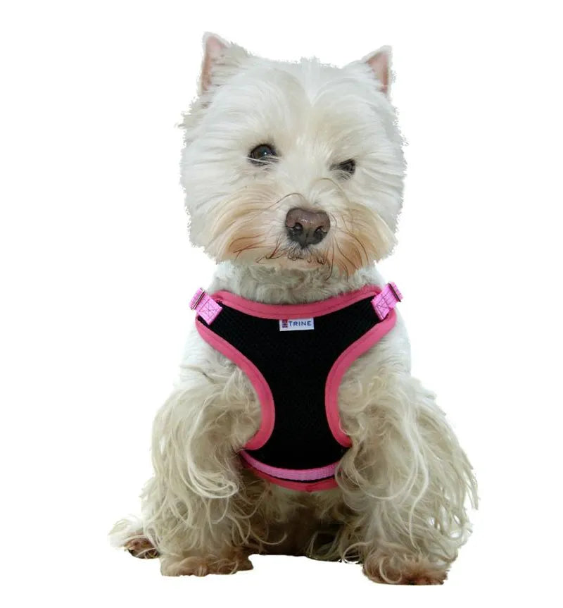 Trygg Selevest Rosa