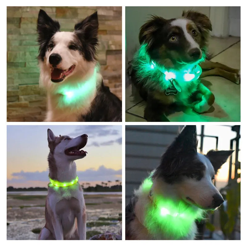 Led halsbånd til langhår