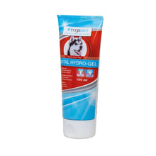 Bogadent Dental Hydro-Gel hund 100 ml