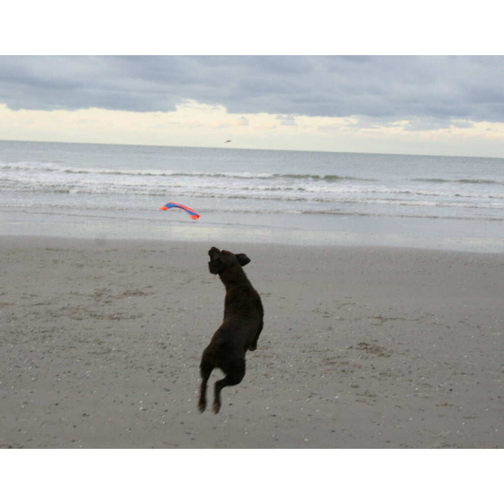 Chuckit! Flying Squirrel M 35cm