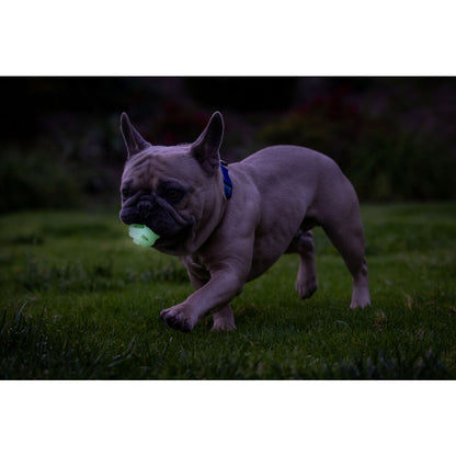 Chuckit! Max Glow Air Fetch Ball