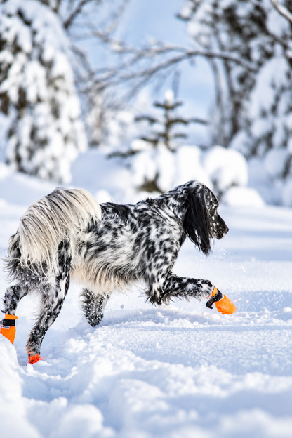 Hundesokk Cordura