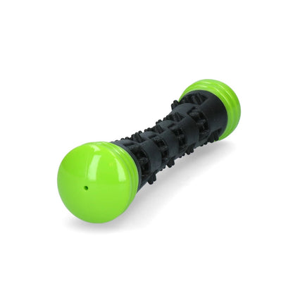 Dog Comets Meteor Throwing Stick