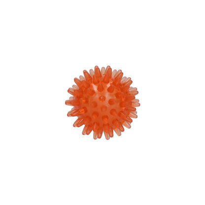 Dog Comets Exoplanet