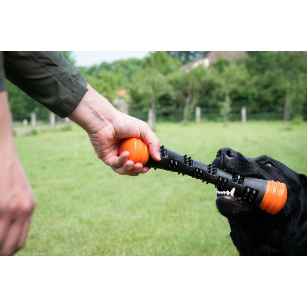 Dog Comets Meteor Throwing Stick