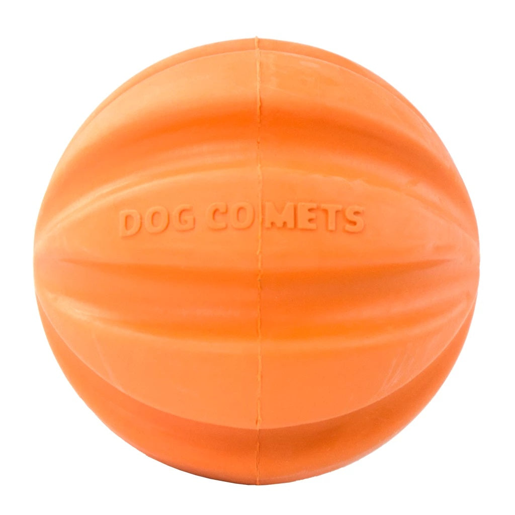 Dog Comets Meteorite