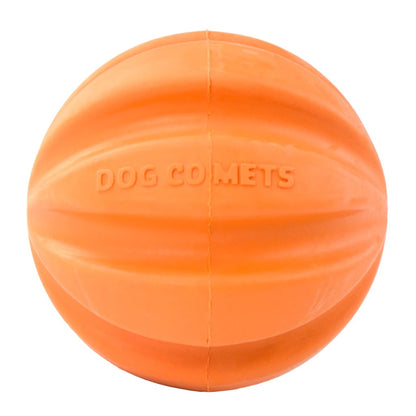 Dog Comets Meteorite