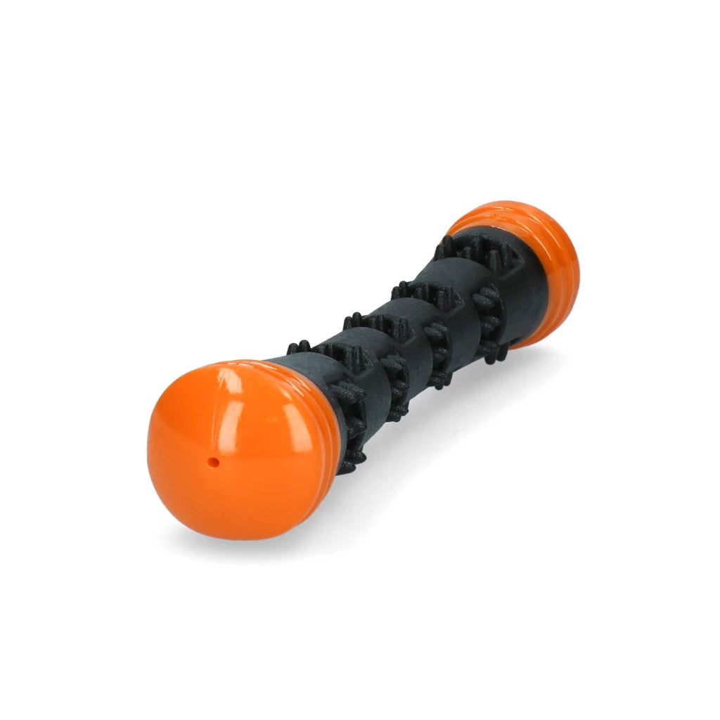 Dog Comets Meteor Throwing Stick