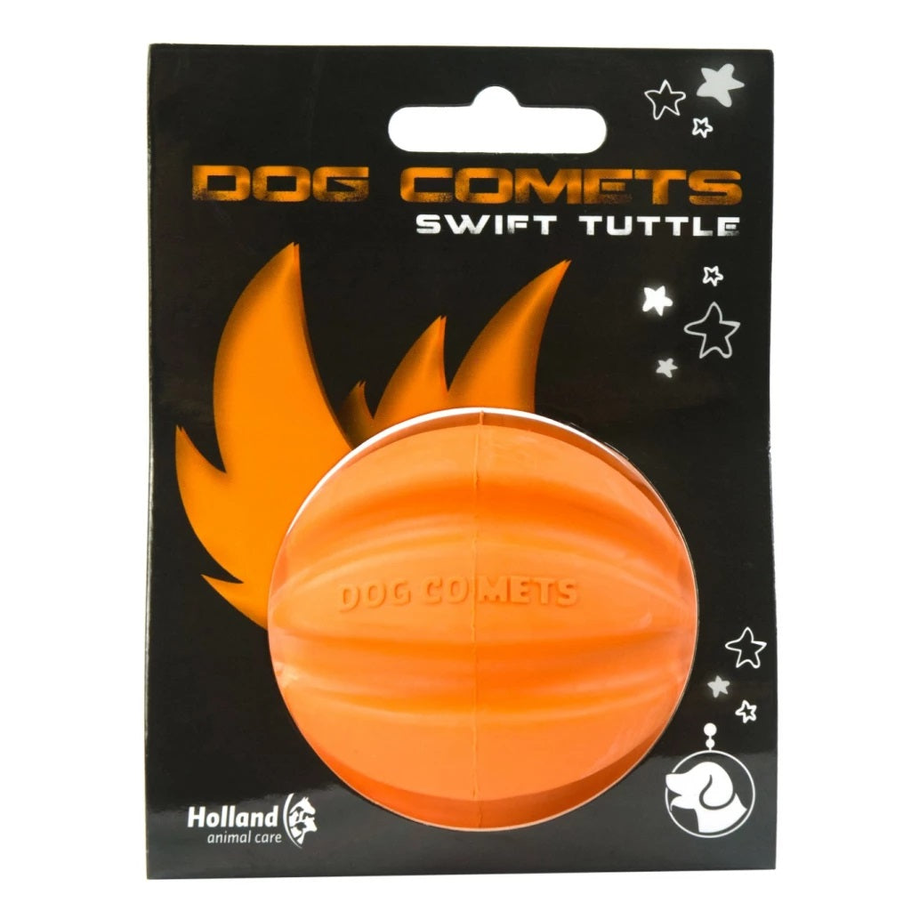 Dog Comets Meteorite