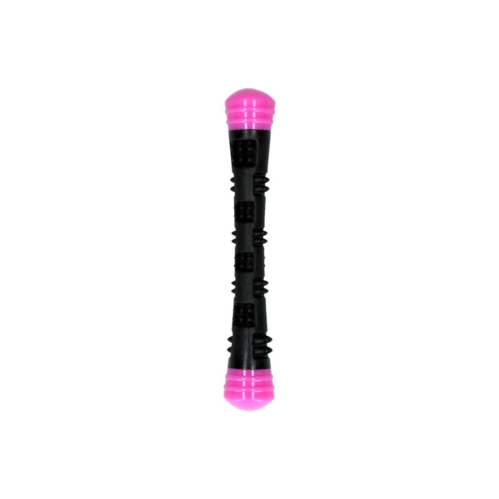 Dog Comets Meteor Throwing Stick