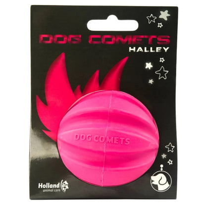 Dog Comets Meteorite