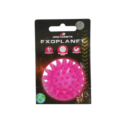 Dog Comets Exoplanet
