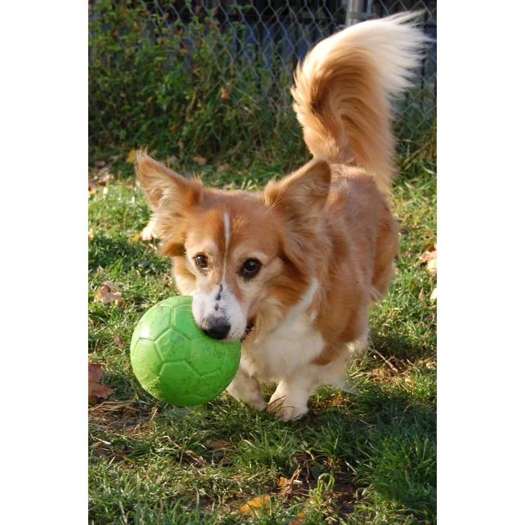 Jolly Soccer Ball