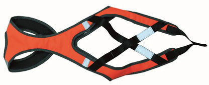 Ski Sele Orange