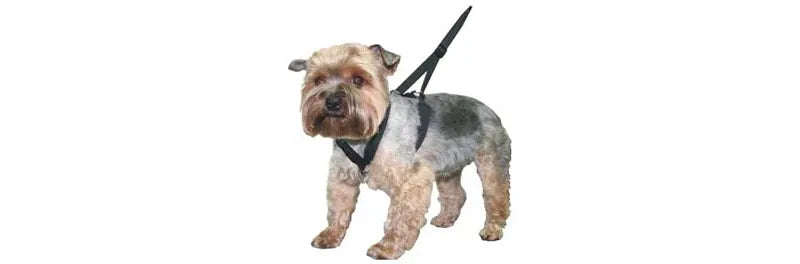 Trine Antitrekksele